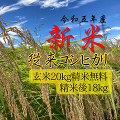 新米 令和五年 新潟県 従来 コシヒカリ 玄米 20kg(10×2)