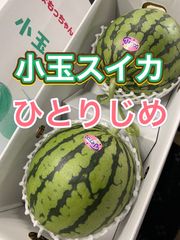 熊本県産　夏の小玉スイカ4L2玉入り