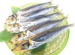 子持ちにしん 丸干し 函館 干し物専科 5本セット 数の子入り