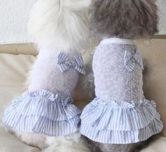 【閉店セール全品半額】シースルー＆ストライプワンピース　ホワイト　ブルー　レース　犬服　春夏