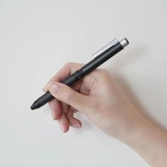 ゴ*タ様 工房楔 バーズアイメイプルと杢ルーチェペン - メルカリ