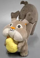 【中古】ぬいぐるみ ホシガリス もぐもぐタイム ぬいぐるみ～ガーディ・ピチュー・ミジュマル・ホシガリス～ 「ポケットモンスター」