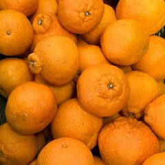 ちょっと訳あり デコポン 箱込約5㎏以上 熊本県産 デコみかん デコポンと同品種 防腐剤ワックス農薬等不使用 フルーツマイスター