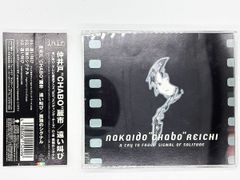 【CDケース・ブックレット・帯付属、動作確認済・送料込】仲井戸麗市 / 遠い叫び serial experiments lain エンディングテーマ EMI サントラ