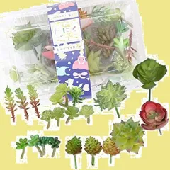 【数量限定】セダム 雑貨 (C) 材料 DIY 人工観葉植物 枯れない植物 インテリア リース 鉢植え 寄せ植え アートフラワー フェイクグリーン おまかせ20～22個セット 多肉植物カット苗 造花 フェイク たにくごっこ