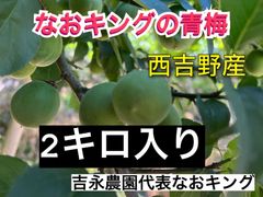 青梅 2キロ 西吉野産 6月上旬発送 なおキング