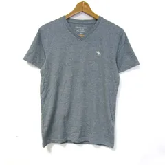 アバクロンビー＆フィッチ 半袖Ｔシャツ ワンポイントロゴ ブランド トップス メンズ XSサイズ グレー系 Abercrombie&Fitch 【中古】