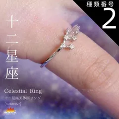種類2:牡牛座 リング 指輪 レディース フリーサイズ 金属アレルギー 指先に夜空を彩る。十二星座天体図リング チェーン アクセサリー 925シルバー スターリングシルバー シルバー 十二星座 星 星座 誕生日 きれいめ プレゼント シンプル n_marai 