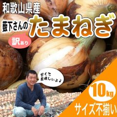 新玉ねぎ 和歌山県産 薮下さんの特別栽培 新たまねぎ 新玉葱 訳あり 10ｋｇ