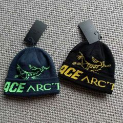 Palace arcteryx パレス　アークテリクス　ビーニー　ニット帽