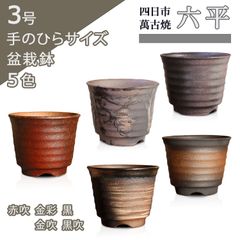 【未使用】盆栽鉢 六平 黒 金彩 赤吹 金吹 黒吹 五色 3号 四日市萬古焼 丸 円形 陶器 小品 小さい 小型 深め ミニ アガベ 塊根 多肉 サボテン 雑木 松柏 観葉植物 約9センチ 植木鉢 苔 うめきち盆栽用品店