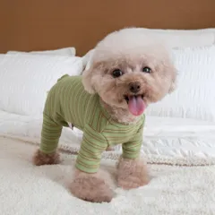 ☆ タイプB×グリーン ☆ XL ☆ ペット 術後服 かわいい 春秋冬 yspf5287 ペット 服 ロンパース ドッグウェア 犬服 犬の服 ペットウェア つなぎ 術後服 犬 いぬ イヌ 猫 ねこ ネコ 長袖 薄手 ストレッチ ボーダー 秋 冬 パジャマ