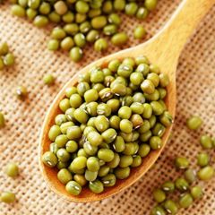 緑豆 ＼こだわった方に選ばれる 緑豆／ ムング豆 ムングホール 皮付き 1kg 業務用 緑豆もやし 乾燥豆 青小豆 GREEN MOONG WHOLE 台湾スイーツ おかゆ 豆ご飯 備蓄 備蓄食 防災 防災食品 緑豆 もやし 節約 緑豆 もやし 自家製 手作り