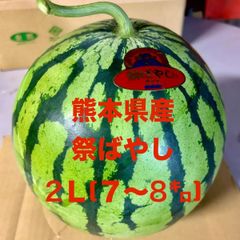 【産地直送・大玉すいか赤果肉・２９日以降発送】熊本県産　大玉スイカ　祭ばやし（2L:7～8㎏未満）１玉　正規品　秀品