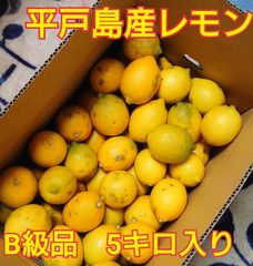 平戸島レモン　B級品5キロ入り　国産レモン
