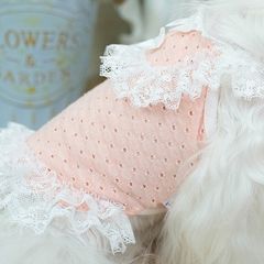 ins犬服ペットウェアペット洋服 夏服 犬の服 キャミワンピーオシャレ上質