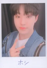 SEVENTEEN 2019 HARU HOSHI トレーディングカード 0119