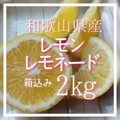 【そのまま食べられる】レモンレモネード 箱込み2㎏ 和歌山