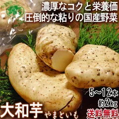 大和芋 やまといも 千葉県産 約2kg 5～12本 国産野菜
