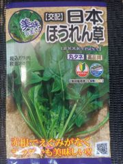 未開封＜野菜の種＞500粒以上　日本ほうれん草　25ｍｌ　ホウレンソウ