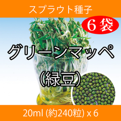 スプラウト種子 S-17 グリーンマッペ（緑豆） 20ml 約240粒 x 6袋