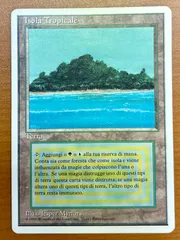 2024年最新】tropical island mtgの人気アイテム - メルカリ