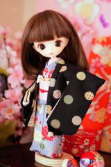 ハルモニアブルーム ハルモニアブルーム