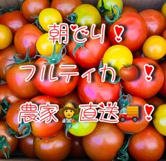 朝どりフルティカ🍅(薄皮！甘熟！)1.8キロ！バラ詰め！農家直送！フルーツトマト！