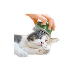 Item thumbnail for item 54432fe5-7c52-46bf-b439-947b22428c93