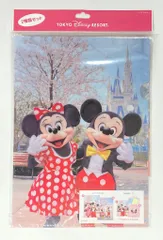東京ディズニーランド クリアホルダー 桜/実写 ミッキー&ミニー 2018