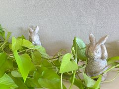 うさぎ（うっかり）