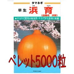 カネコ種苗　浜育　玉葱　ペレット５０００粒
