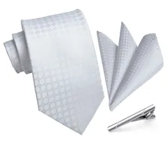 【人気商品】ネクタイ チーフ シルバー セット ビジネス 3点セット 結婚式 タイクリップ 高級 ネクタイメンズ ギフトボックス付き 紳士用 フォーマル 礼服用 入学式 [HISDERN] 卒業式 TA-001S