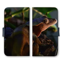 iPhone 17 Pro ケース 手帳型 アイフォン17プロ スマホケース 携帯ケース 両生類 爬虫類 オウカンミカドヤモリ グリーンイグアナ トカゲ カエル ウーパールーパー 写真 スマホカバー カラー01