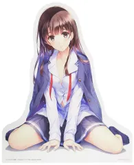 冴えない彼女の育てかた 加藤恵 アクリルパネル ファンタジア・リビルド』アクリルパネル 『冴えない彼女の育て
