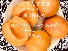 [事前予約] クール便  ハーコット 「優品」2キロ 「6月下旬〜7月上旬発送予定」生あんず 生食用 アンズ  丸かじり 産地直送