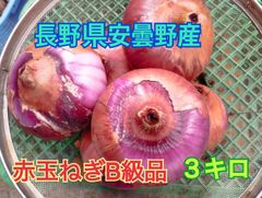 お得なB級品！赤玉ねぎ　ケル玉ルビー　3キロ　農薬未使用　紫玉ねぎ
