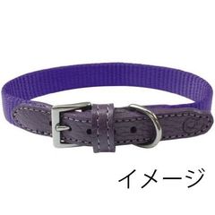 ユナイテッドペッツ united pets ヴィヴィッド カラーXS ヴァイオレット　Collari Guinzagli Sporty