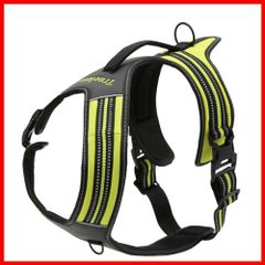 Item thumbnail for item d89b35f0-76c6-4919-a797-44e5bdb68956