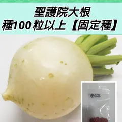 2024年最新】京 漬物 野菜の人気アイテム - メルカリ