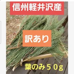 ★訳あり格安★信州軽井沢産 赤松乾燥松葉　葉のみ５０g　松葉香 松香