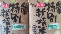 令和5年 千葉県産 新米 コシヒカリ有機栽培米（ちばエコ米） 精米20kg