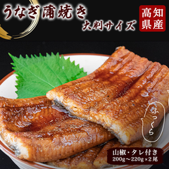 高知県産有頭ウナギ蒲焼き　2尾セット【高知県産　蒲焼　国産　丑の日　土用の丑の日　鰻　うなぎ　山椒、タレ付】
