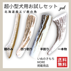 【匿名配送】超小型犬用🐶お試し4本セット🐶髄のみ✅四つ割り✅半割り✅一本物先端🦌北海道産エゾ鹿の角🦌犬のおもちゃ🐕鹿の骨　A