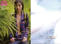 【中古】コレクションカード(女性) 53 ： AKINA/HIT’S LIMITED
