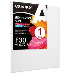 【最終お値下げ】張りキャンバス　F60 F30  各1枚　　送料込み 最終お値下げ】張りキャンバス F60 F30 各1枚 送料込み
