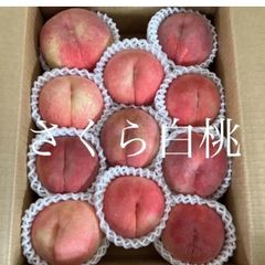 桃(日川)秀品 特大5個 60サイズ箱入り - メルカリ
