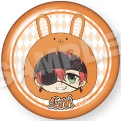 D.Gray-man Dグレ ラビ ミニアクスタ 缶バッジ D.Gray-man Dグレイマン 缶バッジ ラビ セット - メルカリ