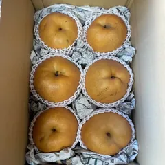 梨愛宕家庭用15㎏ 年越しセール