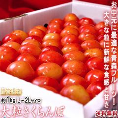 大粒さくらんぼ 約1kg L～2Lサイズ 青森県産 贈答規格 お中元に最適な美しい見た目と抜群の味！佐藤錦・紅秀峰を筆頭に旬のサクランボを厳選